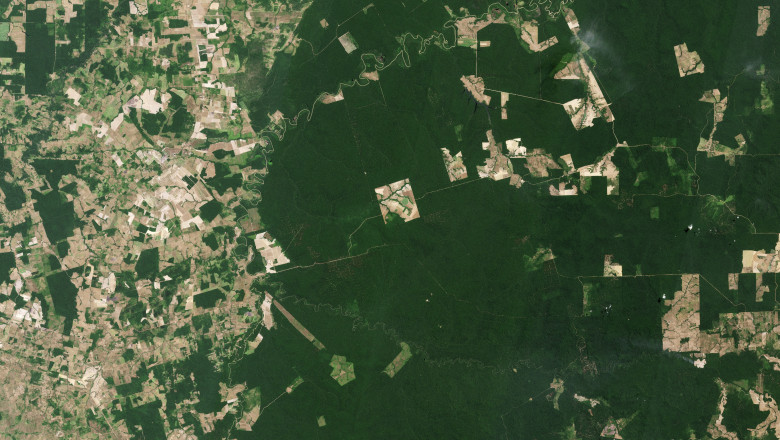 Noua „gaselnita” a cercetatorilor: satelit creat pentru a „scana” padurile Pamantului Imagine