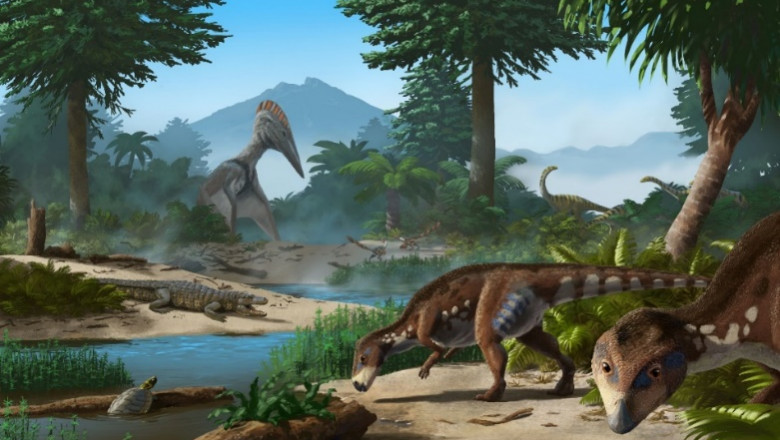 Noua specie de dinozaur descoperita in tara Hategului. Transylvanosaurus platycephalus avea doar 2 metri si era ierbivor Imagine