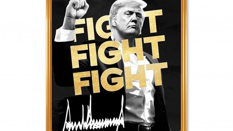 „Noul meu meme oficial Trump este aici”. Ce valoare a atins criptomoneda lansata de Donald Trump inainte de investire Imagine