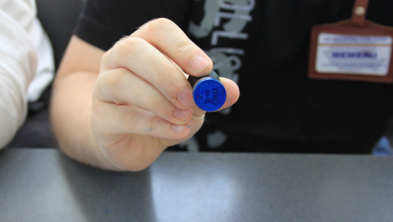 Noul PNL, pe primul loc in sondajele de opinie Imagine