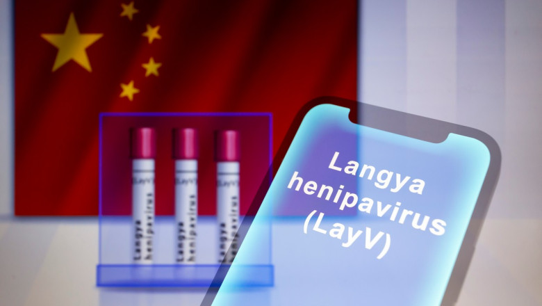 Noul virus Langya gasit in China ar putea fi "varful aisbergului" pentru agentii patogeni inca nedescoperiti, spun cercetatorii Imagine