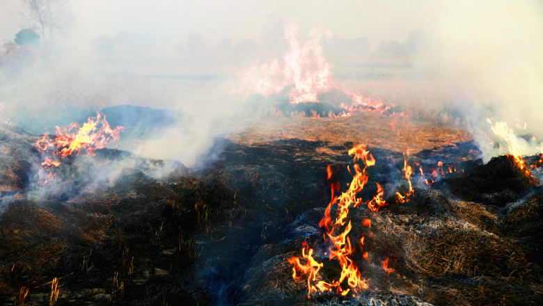 „Nu poti sa respiri”. Groapa de gunoi din Petrosani arde de doua saptamani. Reactia autoritatilor Imagine