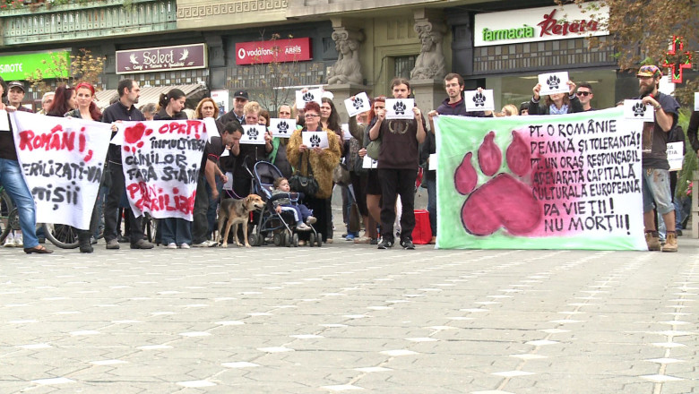 Nu ucideti, rezolvati! Protest la Timisoara fata de legea eutanasierii cainilor fara stapan Imagine