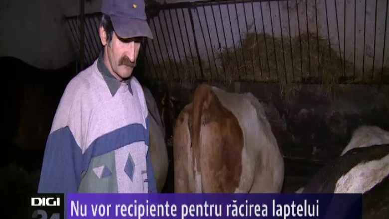 Nu vor recipiente pentru racirea laptelui Imagine