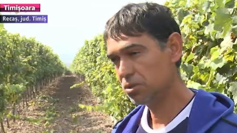 Numarul zilierilor, in continua scadere. Fata de 2013, cifra muncitorilor angajati cu ziua aproape s-a injumatatit Imagine