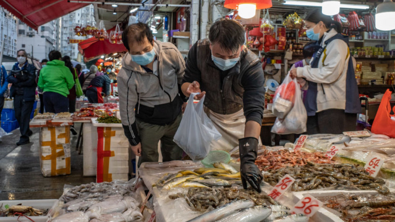 O bacterie care provoaca holera a fost gasita intr-o carapace de testoasa, intr-o piata din Wuhan. Oamenii se tem de o noua epidemie Imagine