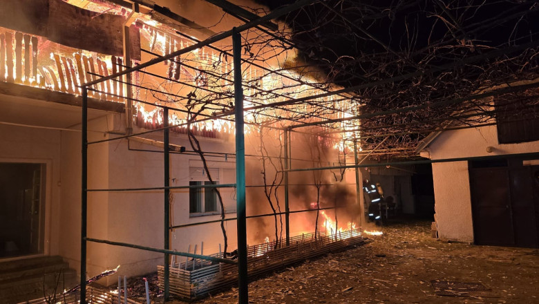 O batrana din Satu Mare a fost salvata din incendiu dupa ce cainele vecinului a dat alarma Imagine