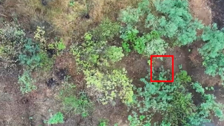 O brigada militara ucraineana a publicat un videoclip socant, in care apar femei ruse luptand in unitati de asalt din prima linie Imagine