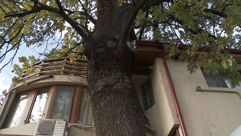 O casa inedita Imagine