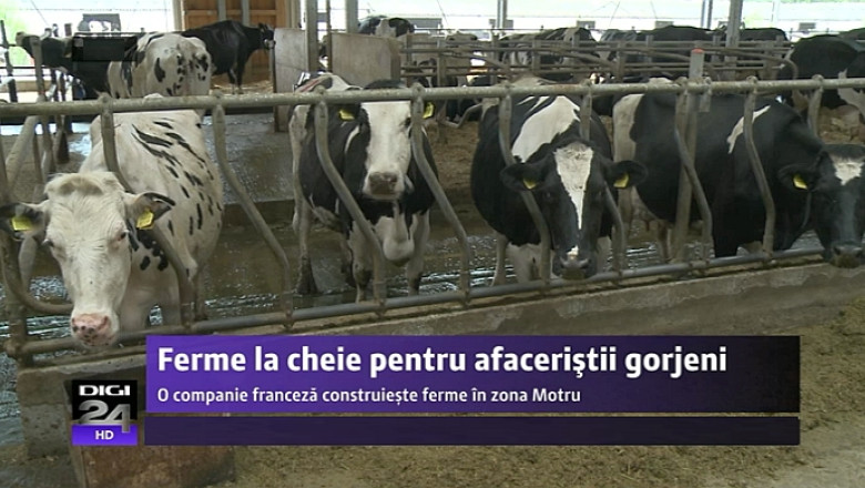 O companie franceza vinde ferme la cheie pentru afaceristii romani. Costul: 15.000 de euro Imagine