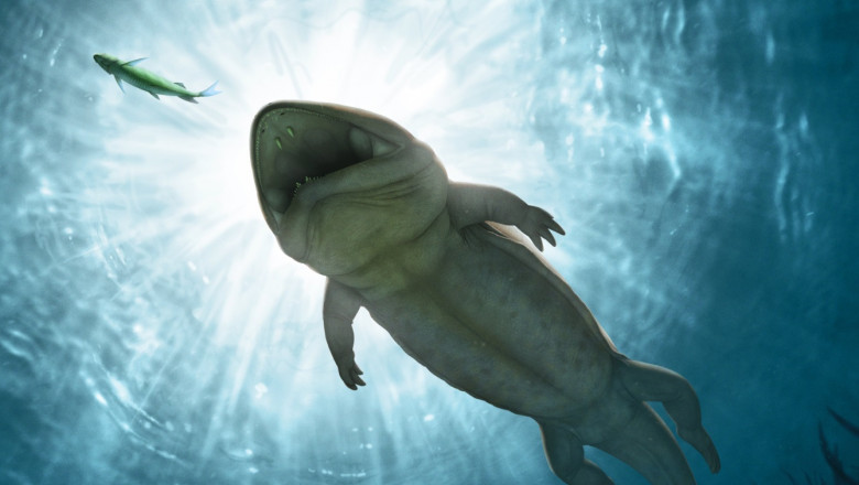 O creatura misterioasa care a trait inaintea dinozaurilor a fost identificata la 26 de ani dupa descoperirea primei fosile Imagine