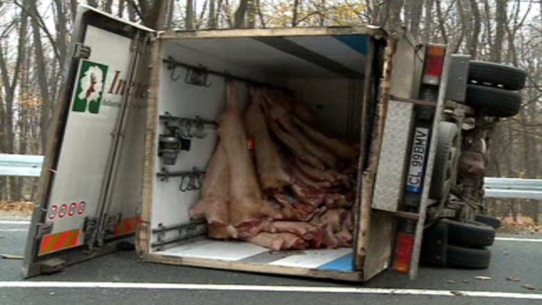 O duba cu porci sacrificati s-a rasturnat intr-o curba din Bucium Imagine