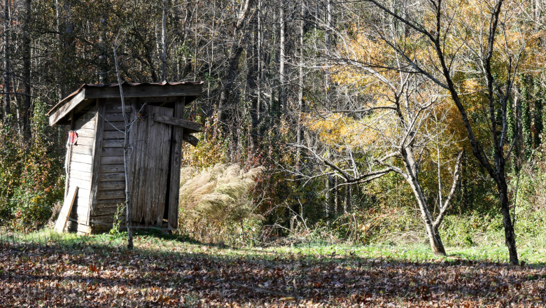 O fata de 17 ani din Vaslui, premianta la scoala, si-ar fi omorat bebelusul nou-nascut si l-a aruncat in WC-ul din curtea casei Imagine