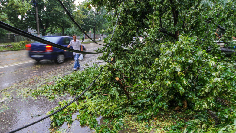 O femeie a fost ranita in Capitala, din cauza unui arbore care s-a rupt Imagine