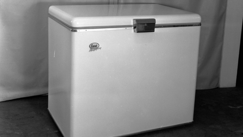 O femeie de 75 de ani a fost arestata dupa ce a tinut cadavrul fiicei sale intr-un congelator timp de 20 de ani Imagine