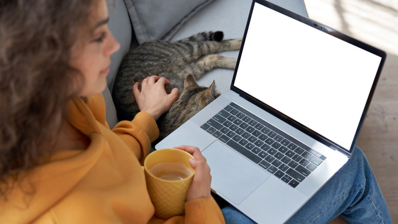O femeie era milionara de cateva luni, dar n-a stiut, pentru ca nu si-a verificat e-mailul Imagine