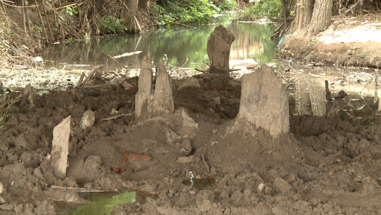 O fetita de sapte ani a cazut in groapa de trei metri sapata de un barbat de 81 de ani care cauta o comoara Imagine