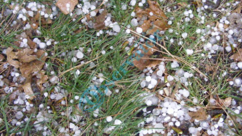 O furtuna de doar zece minute a facut ravagii in judetul Iasi Imagine