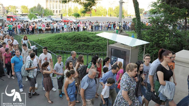 O jumatate de milion de vizitatori la Noaptea Muzeelor Imagine