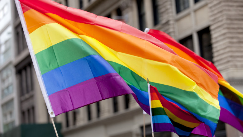 O lege impotriva „propagandei LGBT”, votata in prima lectura in parlamentul din Georgia Imagine