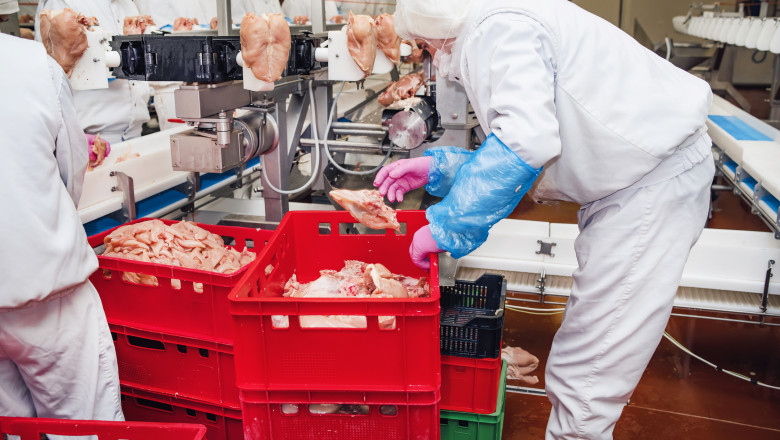 „O masa calda”, contaminata cu listeria. Concluzie in cazul copiilor din Mehedinti, ajunsi la spital cu toxinfectie alimentara Imagine