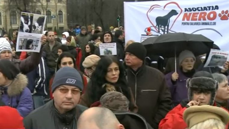 O mie de oameni au protestat in principalele orase fata de eutanasierea maidanezilor Imagine