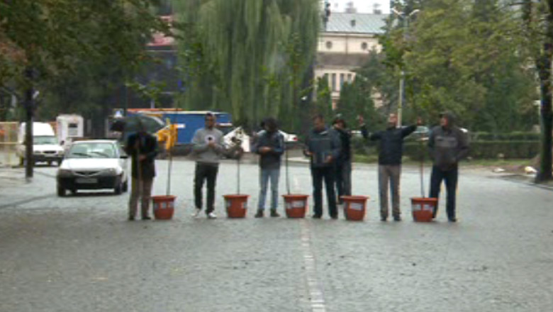 O noua actiune impotriva taierii teilor din Iasi: protestatarii au replantat tei  Imagine