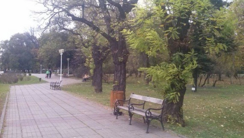 O noua imagine pentru Parcul Central din Timisoara: gradina vieneza sau parc englezesc? Imagine
