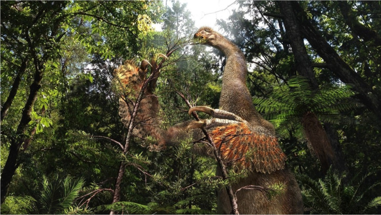 O noua specie bizara de dinozaur cu gheare uriase a fost descoperita in desertul Gobi din Mongolia Imagine