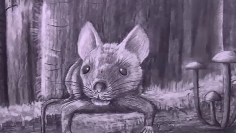 O noua specie de mamifer, din vremea dinozaurilor, descoperita in Alba Imagine