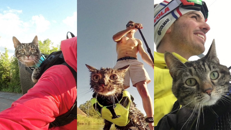 O pisica adoptata de la adapost a devenit vedeta pe internet. Este pasionata de ciclism si alpinism si s-a dat chiar si cu parapanta Imagine