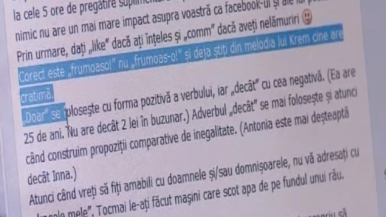 O profesoara din Iasi preda gramatica pe Facebook. Postarile ei au devenit virale Imagine
