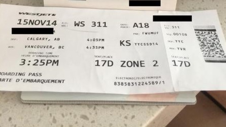 O romanca din Canada zboara cu avionul 670 de kilometri pentru a putea vota Imagine