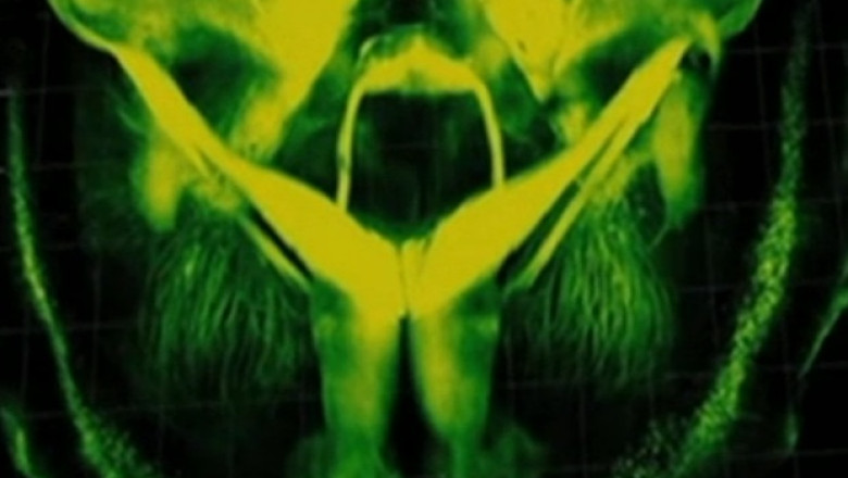 O romanca inventatoare din SUA a gasit o metoda prin care poate face soareci transparenti Imagine