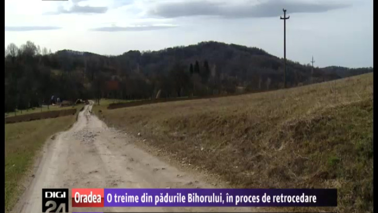 O treime din padurile Bihorului, in proces de retrocedare Imagine