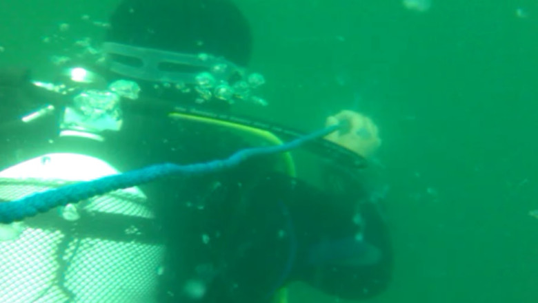 Oamenii adancurilor. 700 de elevi au vazut Centrul de Scafandri din Constanta  Imagine