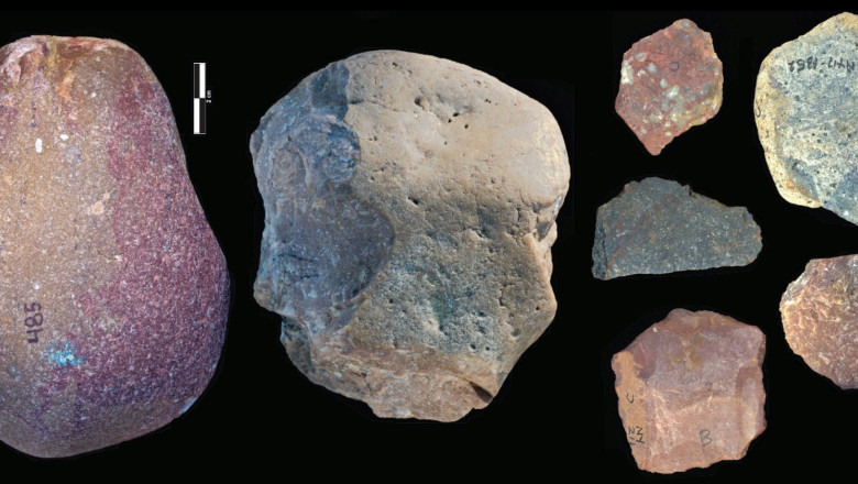 Oamenii de stiinta incearca sa afle cine putea face unelte din piatra acum aproape 3 milioane de ani. Cine este principalul „suspect” Imagine