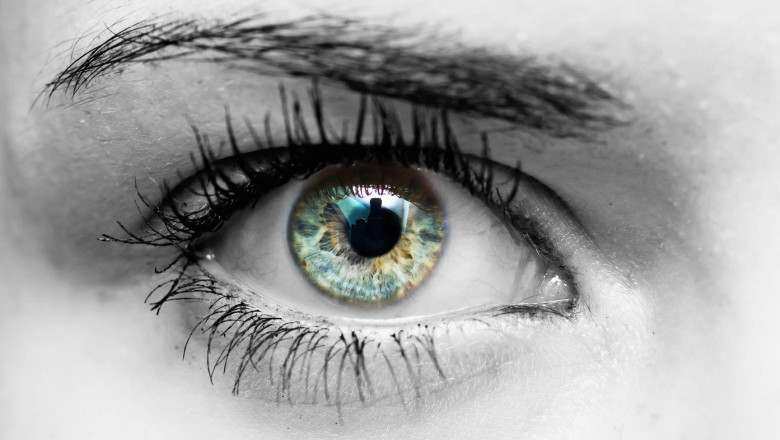 Oamenii de stiinta sustin ca au descoperit „o noua culoare” pe care nimeni nu a mai vazut-o pana acum Imagine