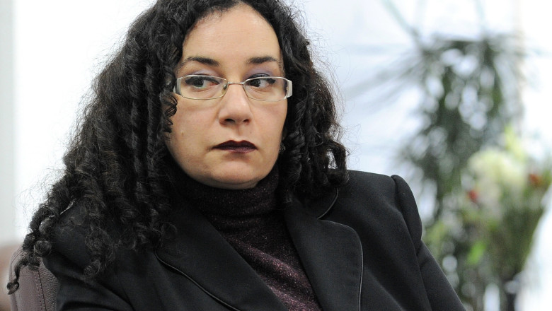 Oana Haineala, despre modificarile Codului Penal: CSM nu a fost consultat, am aflat informal marti la pranz Imagine