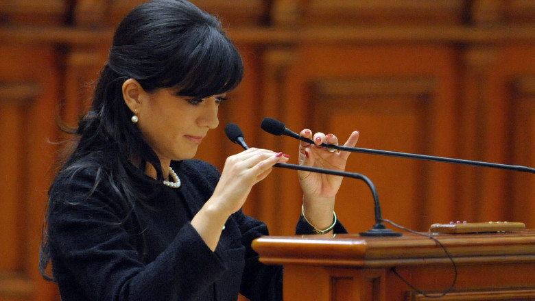 Oana Niculescu Mizil, trimisa in judecata pentru conflict de interese Imagine