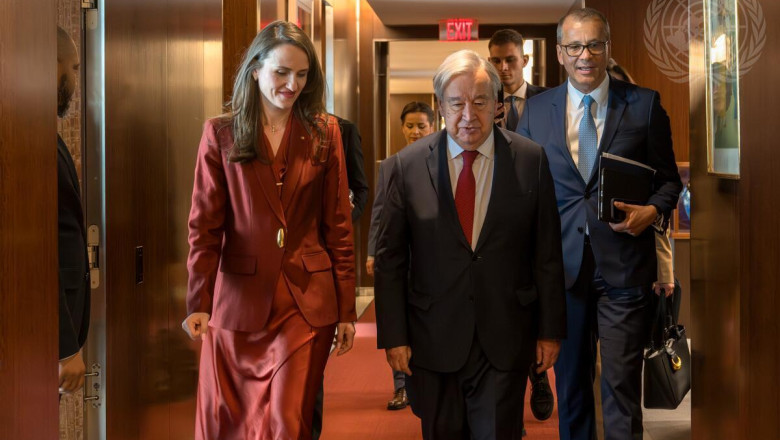 Oana toiu, intalnire cu Secretarul General ONU la New York: Avem o viziune comuna asupra impactului incidentului cu drona in Romania Imagine