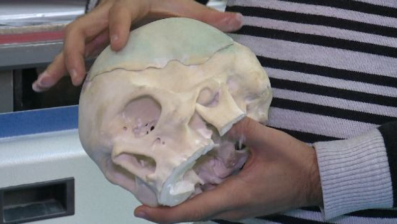 Oase artificiale tiparite 3D Imagine