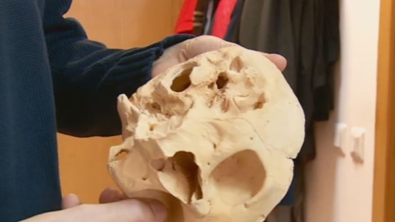 Oase din ghips, ca material didactic Imagine