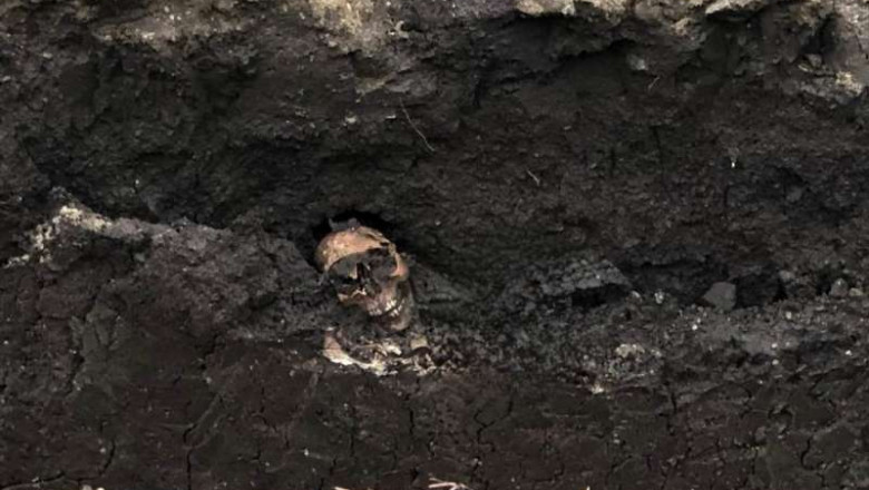 Oase umane descoperite in centrul Devei, in timpul unor lucrari de excavare Imagine