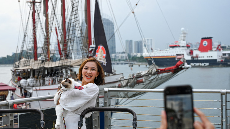 Oferta turistica inedita in Singapore: Cat costa sa te relaxezi intr-o croaziera luxoasa alaturi de pisici Imagine