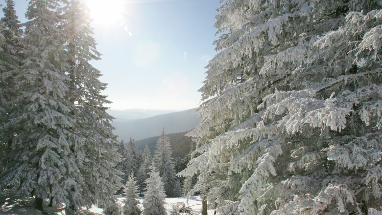 Oferte pentru Revelion, la munte Imagine