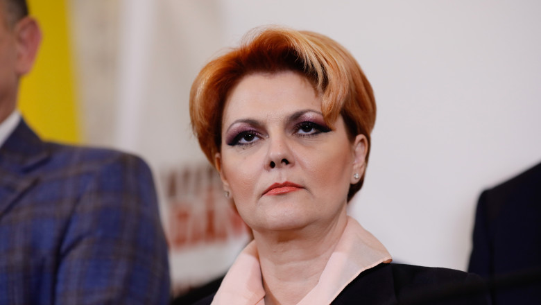Olguta Vasilescu: Oricine ar ajunge in finala alegerilor prezidentiale cu George Simion va castiga. Este exact ce s-a intamplat in 2000 Imagine