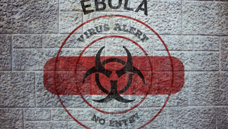 OMS a identificat tratamente si vaccinuri experimentale impotriva virusului Ebola. Urmeaza teste in cadrul unor studii clinice