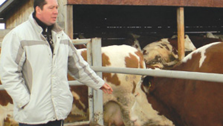 Omul de afaceri Zoltan Haller, retinut.  Imagine