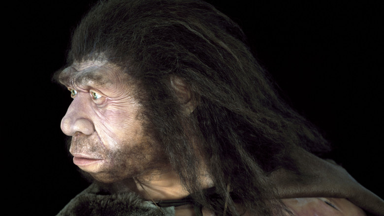 Omul de Neanderthal si omul modern au coexistat in Europa timp de peste 2.000 de ani - studiu Imagine